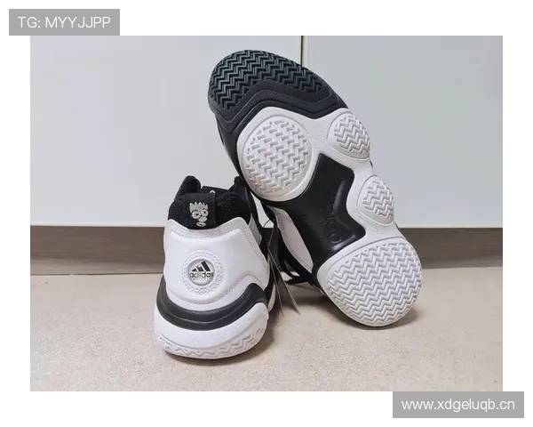 托尼娅·哈丁当年那双冰鞋，现在够买套房了