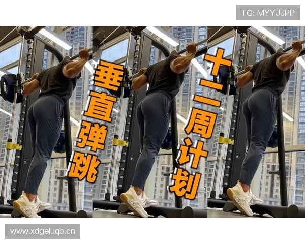 篮球垂直起跳规则解析：防守中如何判断合法性？